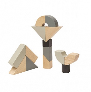 Конструктор деревянный Фигурные блоки, 8 деталей (Plan Toys, 5508)